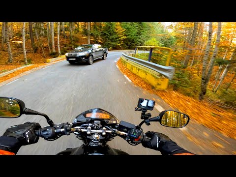 RAWmania | Honda Hornet - Mivv Suono exhaust | Transbucegi