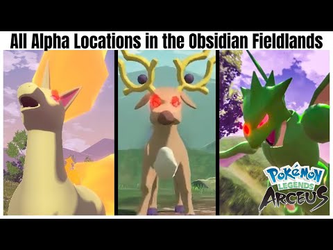 All ALPHA SPAWNS (Obsidian Fieldlands) - Pokemon Legends: Arceus