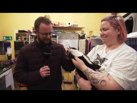 Chcemy pomóc zwierzętom! Trwa specjalna akcja lokalnych redakcji