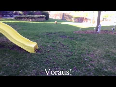 German Dog Tricks Extra Credit