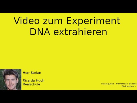 Experiment DNA extrahieren