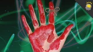 7 Sins of Memory - Epic Science #28