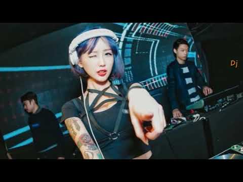 NVEExport Dj China