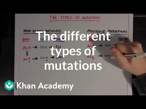 The different types of mutations | Biomolecules | MCAT | Khan Academy