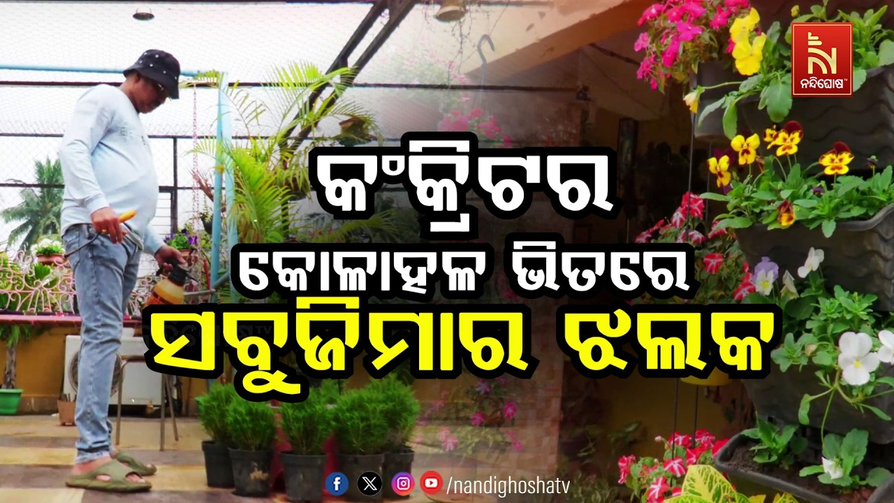 🔴Live | କଂକ୍ରିଟର କୋଳାହଳ ଭିତରେ ସବୁଜିମାର ରାଜ୍ୟ