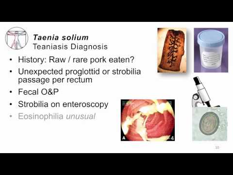 teniosis parazita név