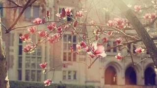 Mireille Mathieu - LA PALOMA ADIEU