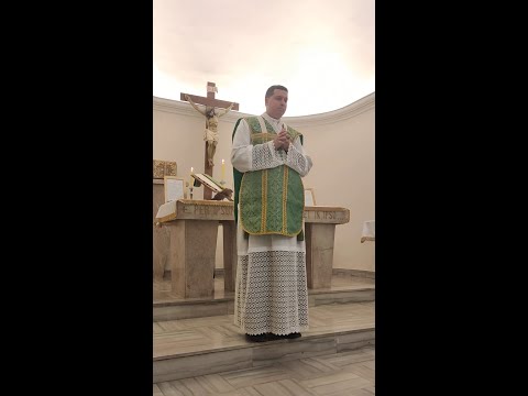 20/07/2025 - Homilia - Dominica VI post Pentecosten