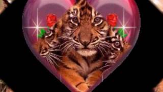 Patrick Sébastien Joyeux anniversaire