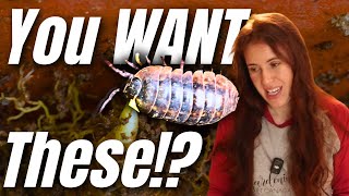 These “Garden Pests” Are Actually a Sign of Healthy Soil