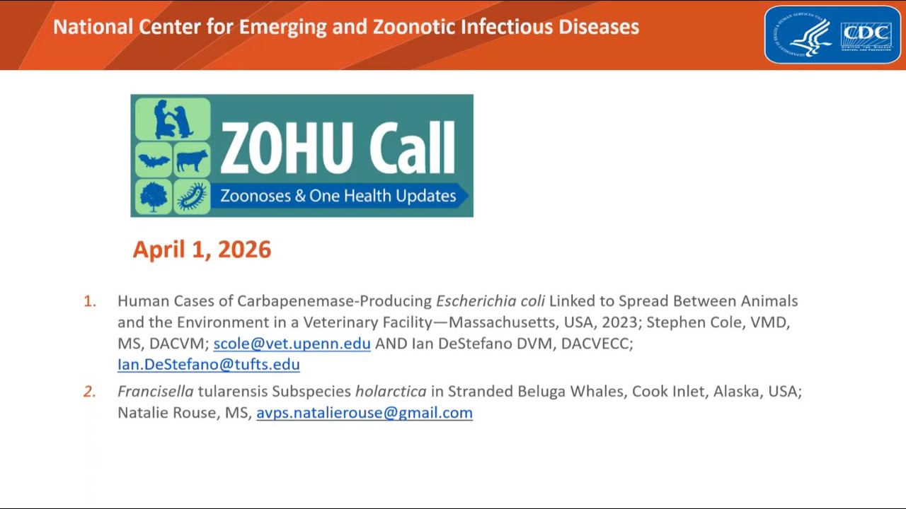 CDC ZOHU Call April 1, 2026