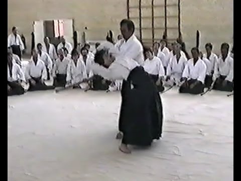 1989 UKA Summer School - T.K. Chiba Sensei Shihonage (8-count shihonage suburi #8)