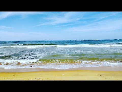 Wading through Rubbish on the Beach at Dehiwala - Coast Conservation Department this is over to you