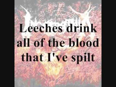 Alchemy Incarpathia lyrics video