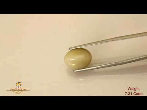 Catseye 7.31ct. (Economy) video