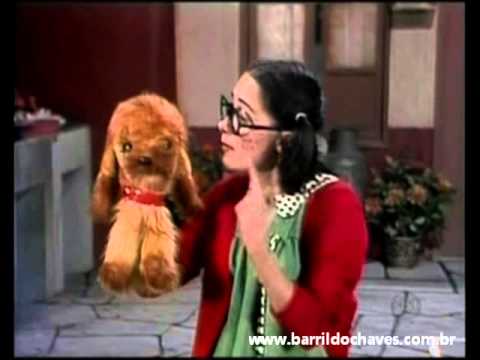 Peludinho video