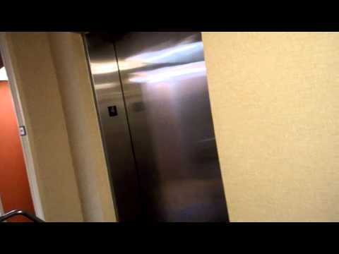 Pokemon National VGC 2013 team Gun-Leo Friday