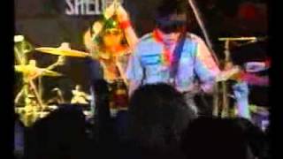 POLYSICS/2001/8@shelter