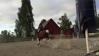 D Hero & Matilda Tammi || Monster - Joakim Lundell