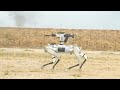 China's military shows off rifle-toting robot dogs