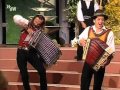 Die Mayrhofner - Mei steirische Harmonika (2005)