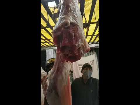 Pahtii namuna goat meat