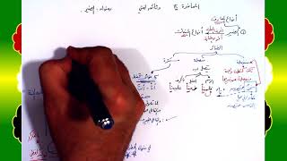 12 √ الضمير image