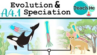 (A4.1) - Evolution & Speciation - IB Biology (SL/HL)
