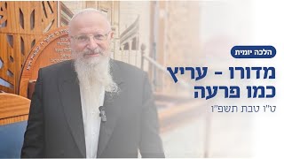 מדורו - עריץ כמו פרעה | הרב שמואל אליהו | הלכה יומית | ט״ו טבת תשפ״ו (הרב שמואל אליהו) - התמונה מוצגת ישירות מתוך אתר האינטרנט יוטיוב. זכויות היוצרים בתמונה שייכות ליוצרה. קישור קרדיט למקור התוכן נמצא בתוך דף הסרטון