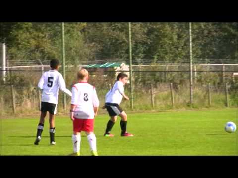 Valleivogels D5 - Svmm D2