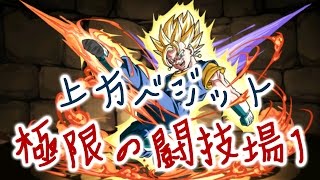 [극한의투기장1] 상향 베지트 PT