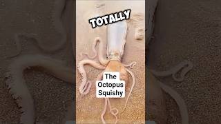 Download lagu this guy can escape Anything! #wildfacts #animalfact #animals mp3