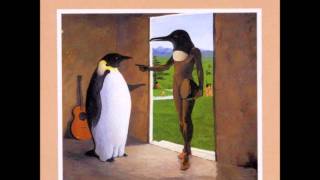 Cutting branches for a Temporary Shelter - Penguin Cafe Orchestra