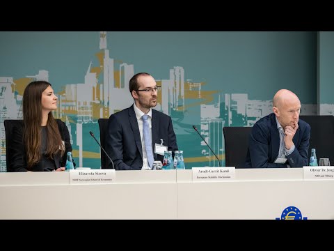 2024 ECB Annual Banking Supervision Research Conference Session 2 - Paper 5