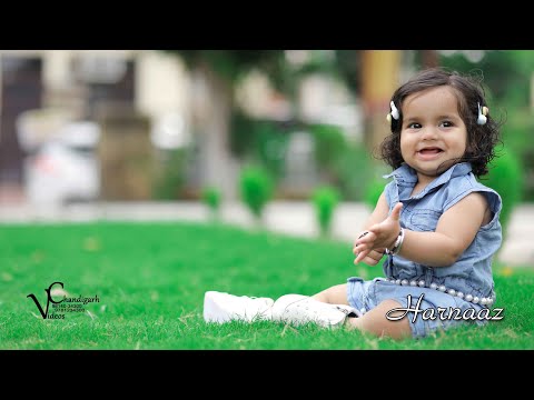 Wedding Photographer portfolio by Chandigarh Video in Chandigarh - Photo 2 Wedding Photographer portfolio by Chandigarh Video in Chandigarh - Photo 2