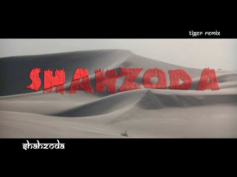 Shahzoda feat Faydee - Habibi Albi  _ Tiger remix