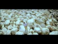 Tum Chain Ho Karar Ho Full Song Milenge Milenge Kareena Kapoor Shahid Kapoor