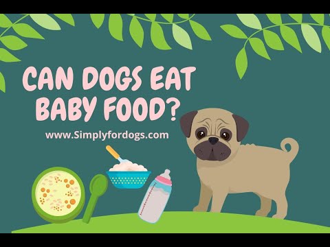 Can Dogs Eat Baby Food?