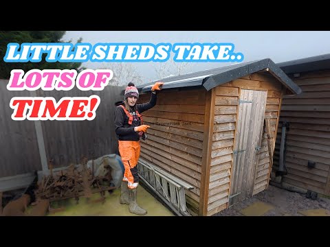 BUILDING A SHED FROM SCRATCH, start to finish!