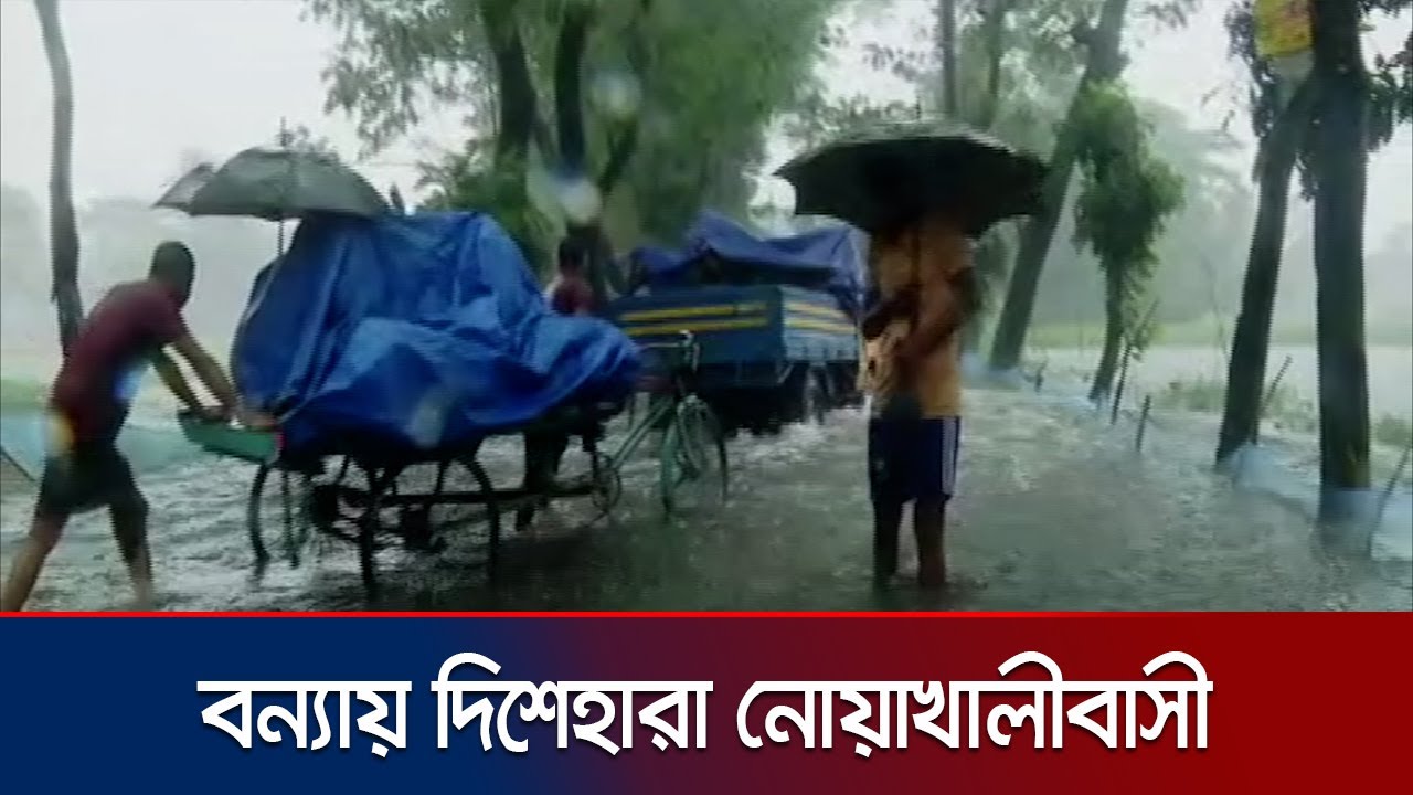 বানের তোড়ে দিশেহারা নোয়াখালীর মানুষ | Noakhali Flood | Bangladesh Flood Situation | Jamuna TV