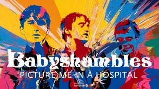 Babyshambles - Picture Me In A Hospital (Official Audio)