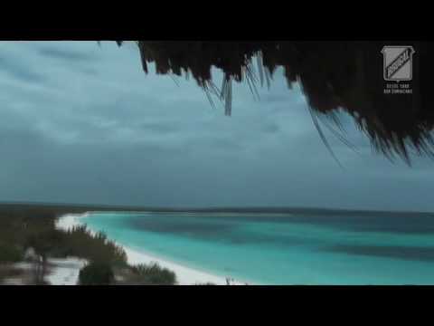 RON BRUGAL - PEDERNALES