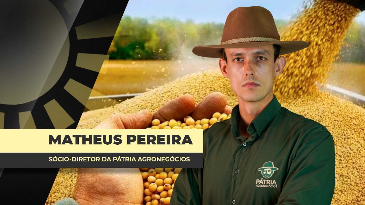 Prêmios da soja no Brasil tem sido o fiel da balança na formação dos preços no mercado interno