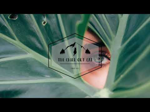 The Hollywood Friends - Yellow Lights (feat. Kathryn Brown)