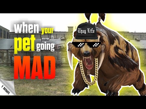 DAILY 1 MMR # 45 - WHEN YOUR PET GOING MAD - LONE DRUID | Dota 2