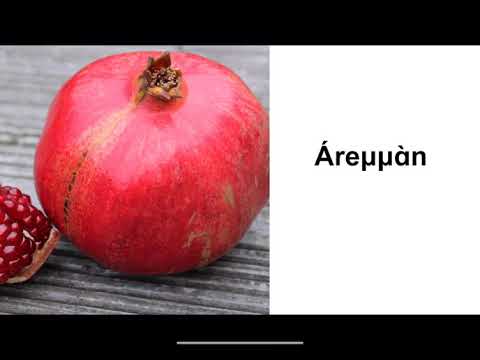 Tamazight - Tarifit - Lesson 2