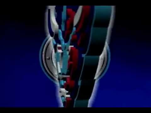 Empire Sports Network "Buffalo Destroyers" Game Open