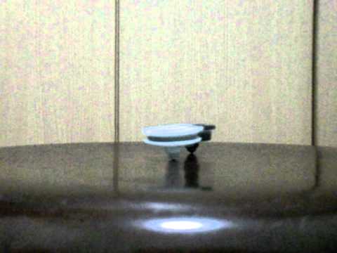 Flash leopard 2 vs Dragoon V