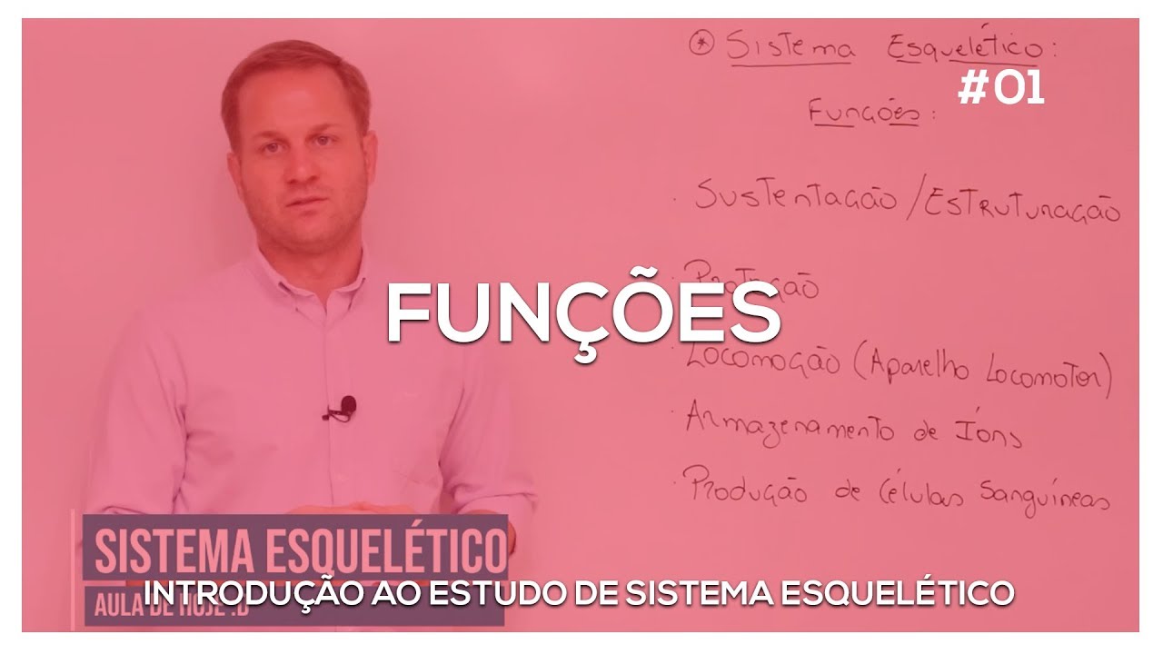 Funções do sistema esquelético