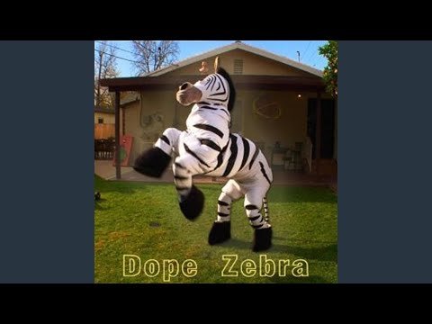 Dope Zebra